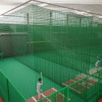 Design Rendering of batting cages